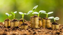 Fixed income overview